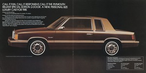 1981 Plymouth Reliant-10-11.jpg